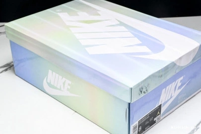 Low 1 AIR JORDAN 1207